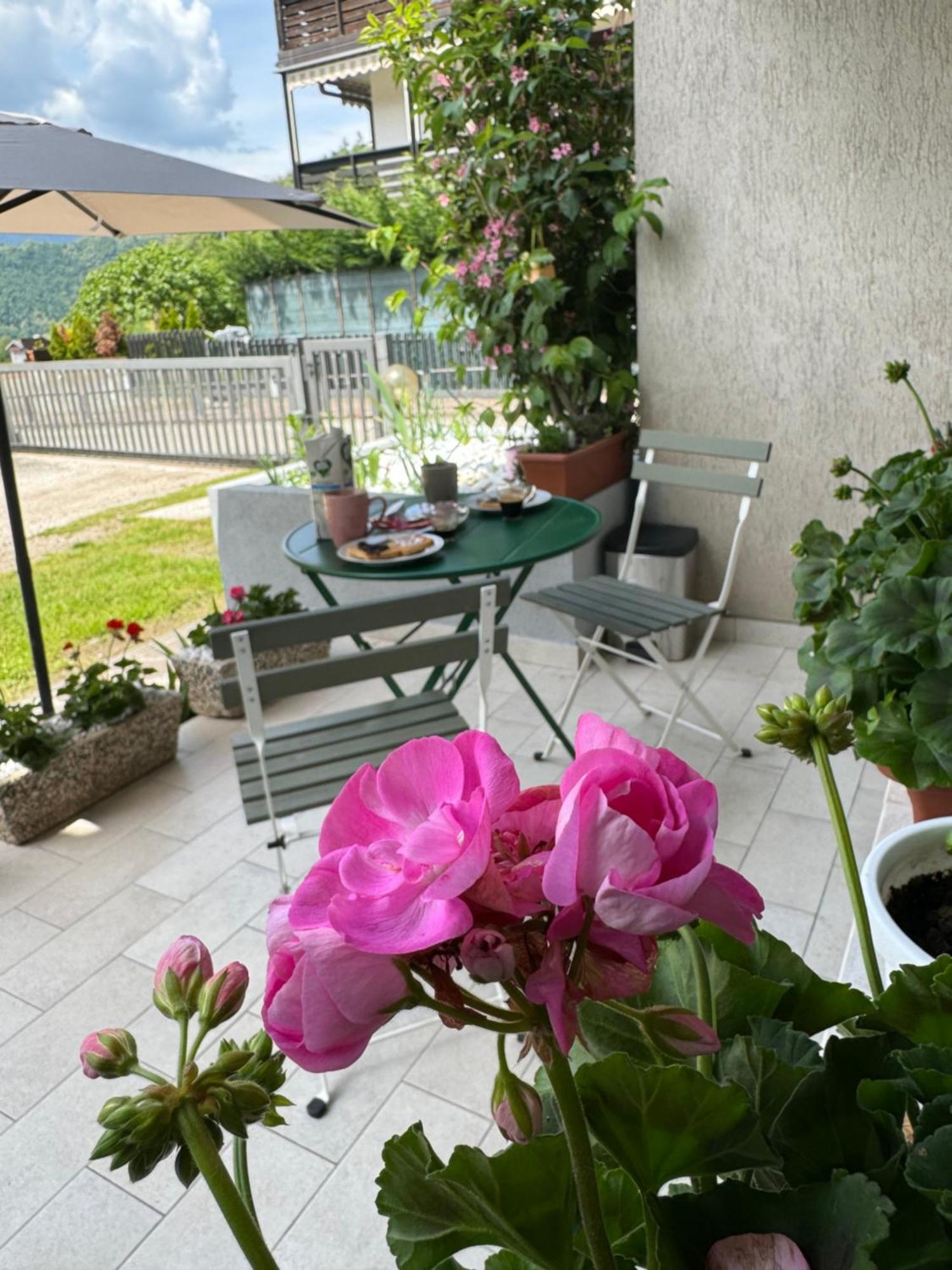 Green House Next - Lovely Apartment For Family And Free Parking Levico Terme Exterior photo
